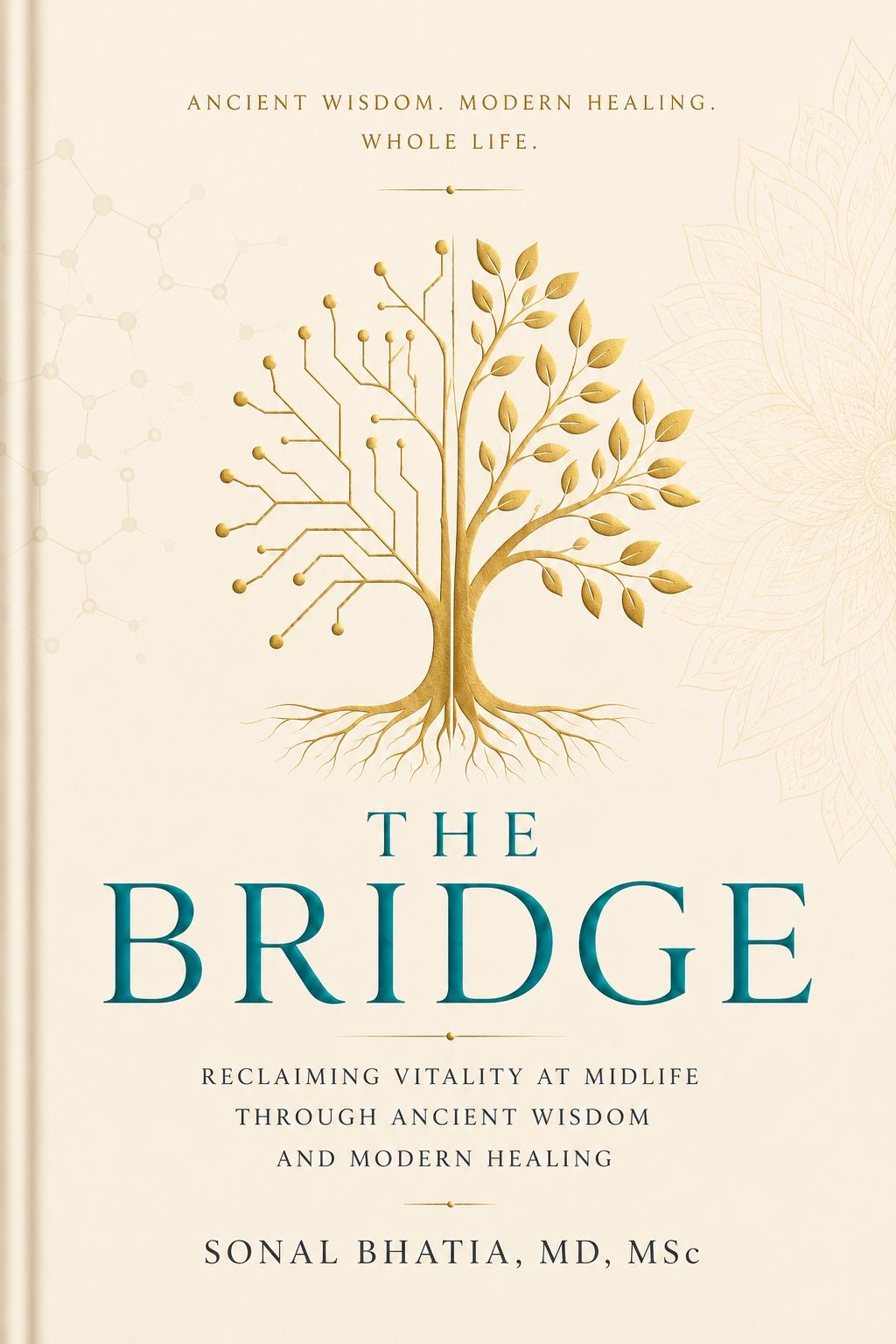 Cover of The Bridge by Sonal Bhatia